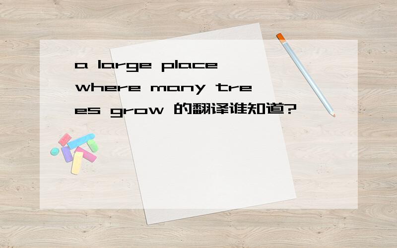 a large place where many trees grow 的翻译谁知道?