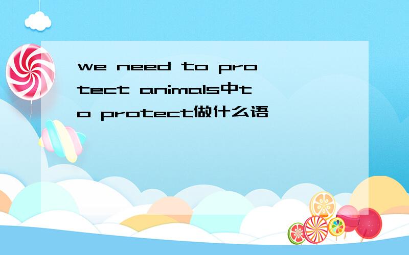 we need to protect animals中to protect做什么语