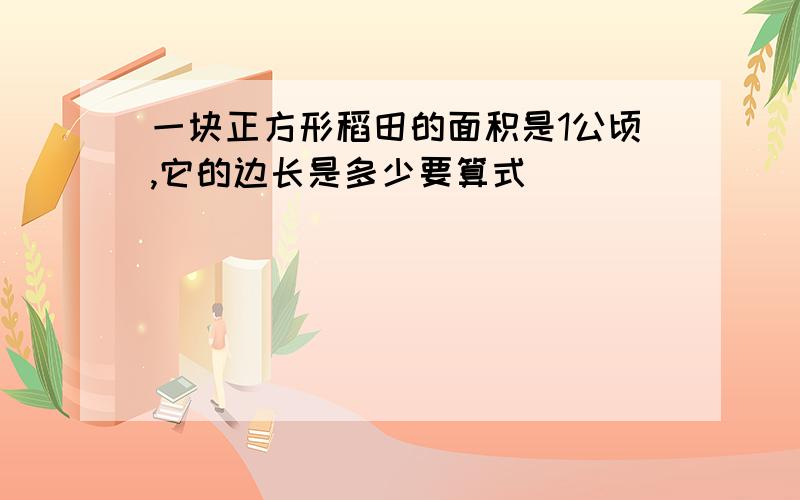 一块正方形稻田的面积是1公顷,它的边长是多少要算式