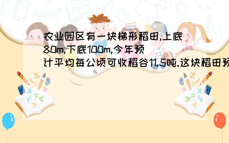 农业园区有一块梯形稻田,上底80m,下底100m,今年预计平均每公顷可收稻谷11.5吨.这块稻田预计可收多少吨