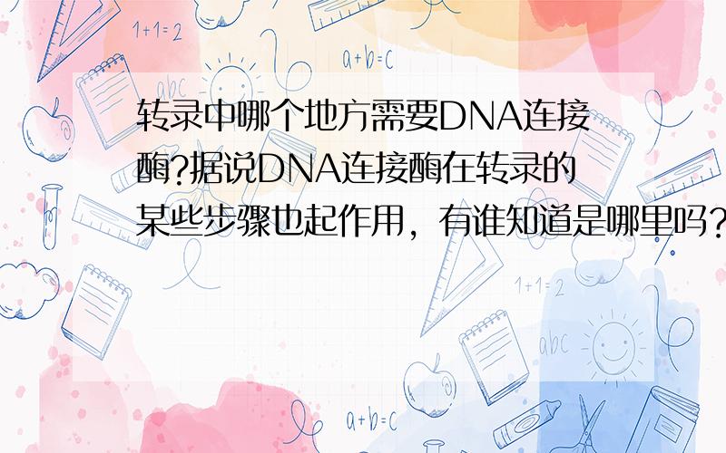 转录中哪个地方需要DNA连接酶?据说DNA连接酶在转录的某些步骤也起作用，有谁知道是哪里吗？