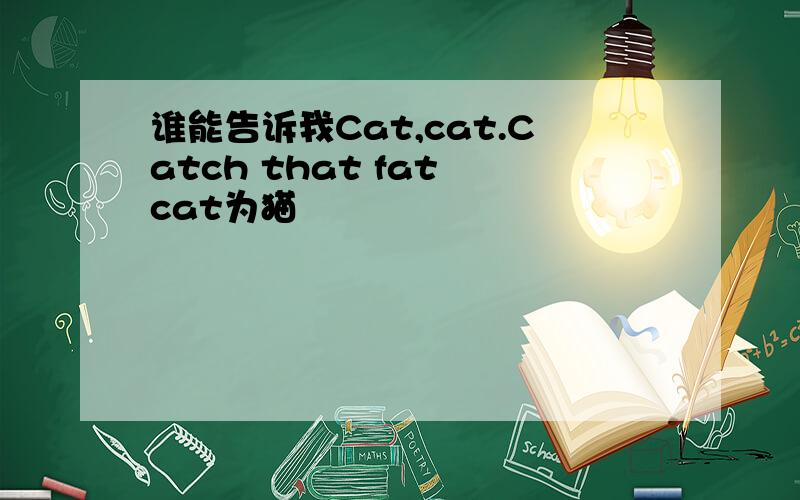 谁能告诉我Cat,cat.Catch that fat cat为猫