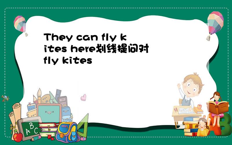 They can fly kites here划线提问对fly kites