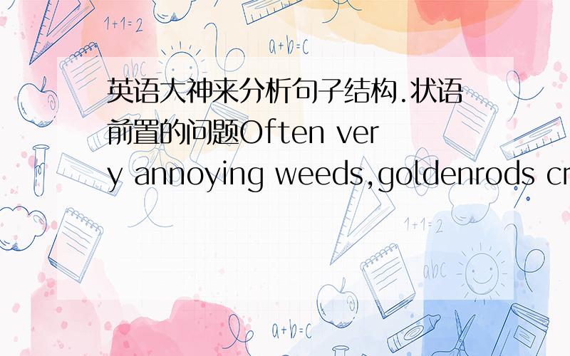 英语大神来分析句子结构.状语前置的问题Often very annoying weeds,goldenrods crowd out less hardy plants and act as hosts to many insect pests.百度了下Often very annoying weeds做状语,我觉得与问题,我觉得应该是goldenro