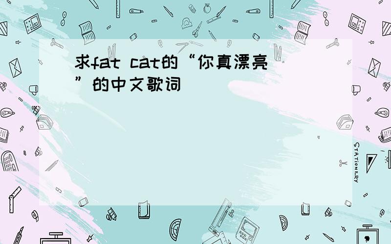 求fat cat的“你真漂亮”的中文歌词