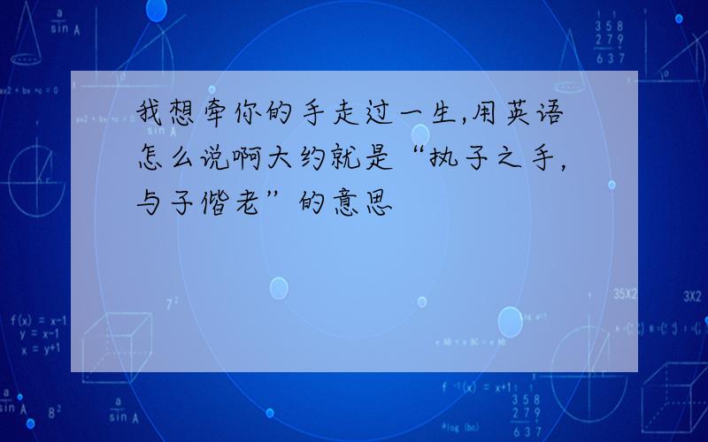 我想牵你的手走过一生,用英语怎么说啊大约就是“执子之手，与子偕老”的意思