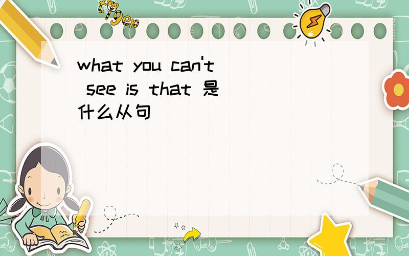 what you can't see is that 是什么从句