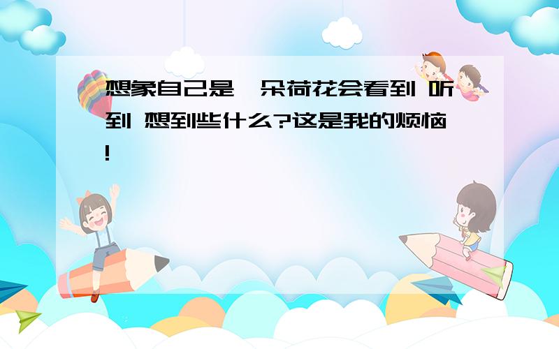 想象自己是一朵荷花会看到 听到 想到些什么?这是我的烦恼!