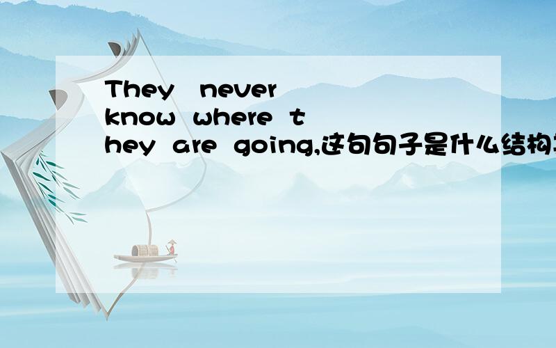 They   never  know  where  they  are  going,这句句子是什么结构其汉语译文是什么?