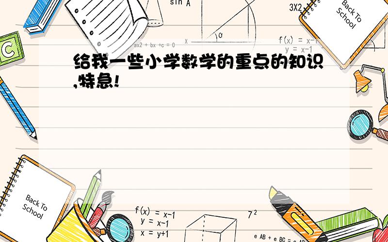 给我一些小学数学的重点的知识,特急!