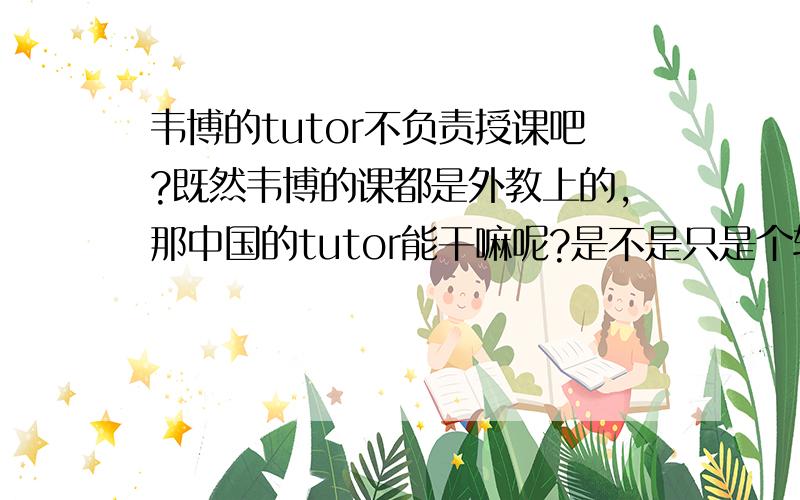 韦博的tutor不负责授课吧?既然韦博的课都是外教上的,那中国的tutor能干嘛呢?是不是只是个辅助工具?没什么意义啊?他们之间的关系是什么样的?