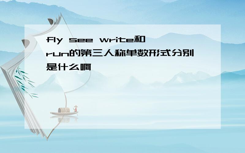 fly see write和run的第三人称单数形式分别是什么啊