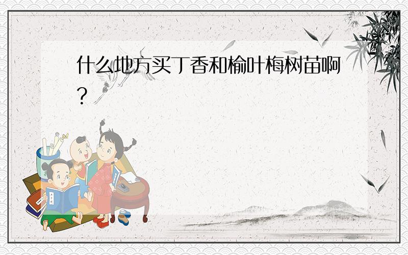 什么地方买丁香和榆叶梅树苗啊?