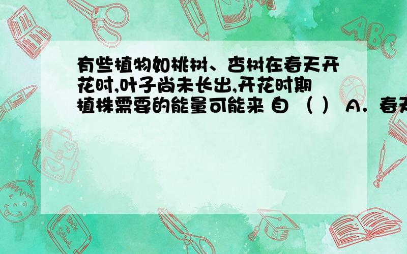 有些植物如桃树、杏树在春天开花时,叶子尚未长出,开花时期植株需要的能量可能来 自 （ ） A．春天植株从A．春天植株从土壤中吸收的无机盐 B．春天植株从土壤中吸收的有机物C．花瓣利