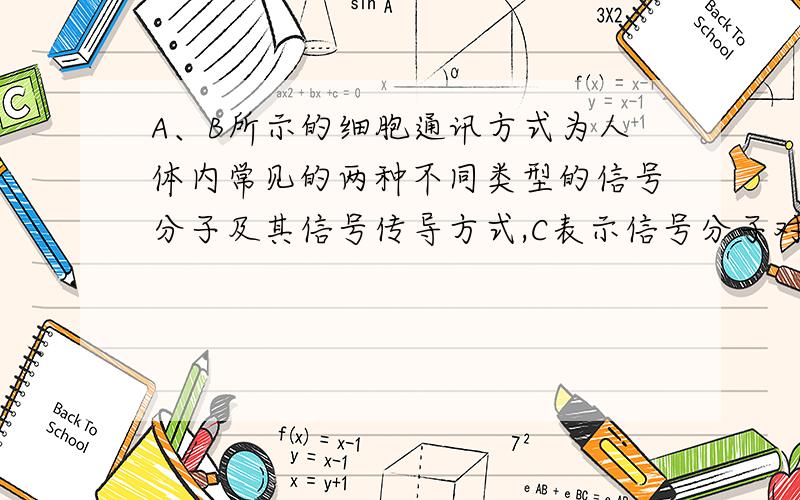 A、B所示的细胞通讯方式为人体内常见的两种不同类型的信号分子及其信号传导方式,C表示信号分子对靶细胞作(1)据图分析,符合胰岛素作用信号通路的是图中的_____.(2)如果某人的胰岛素含量