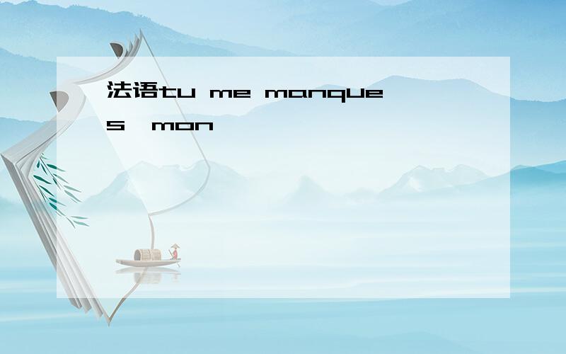 法语tu me manques,mon