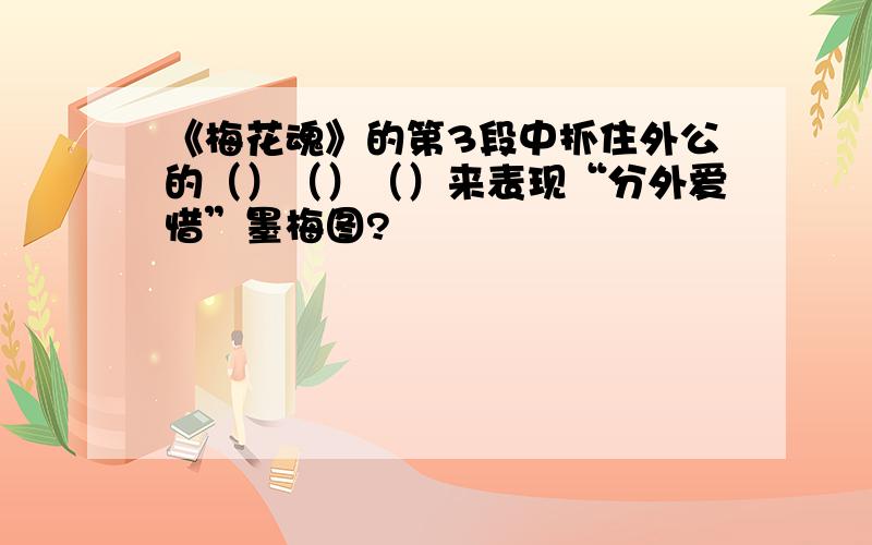 《梅花魂》的第3段中抓住外公的（）（）（）来表现“分外爱惜”墨梅图?