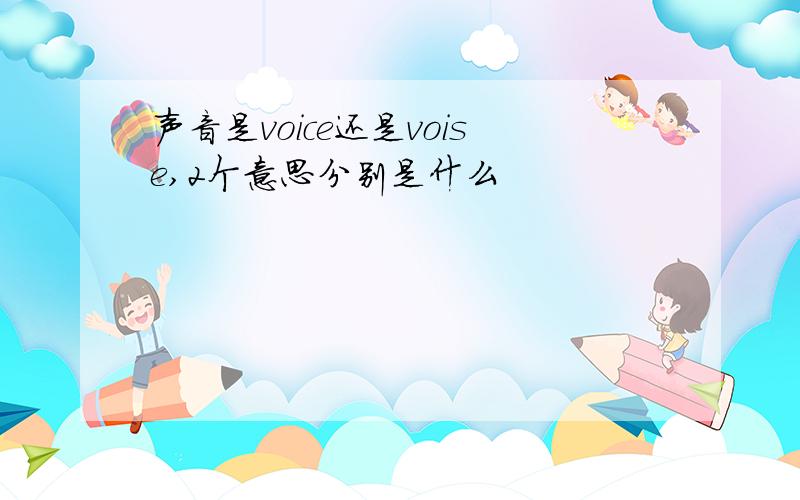 声音是voice还是voise,2个意思分别是什么