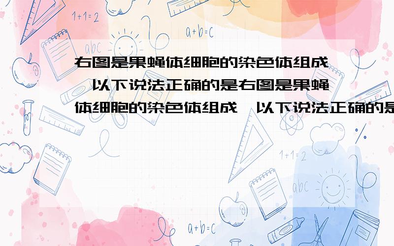 右图是果蝇体细胞的染色体组成,以下说法正确的是右图是果蝇体细胞的染色体组成,以下说法正确的是     A．染色体1、4、5、7组成果蝇的一个染色体组B．染色体3、6之间的交换属于基因重组C