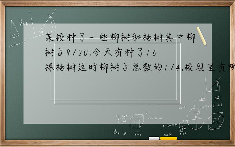 某校种了一些柳树和杨树其中柳树占9/20,今天有种了16棵杨树这时柳树占总数的1/4,校园里有柳树多少棵?