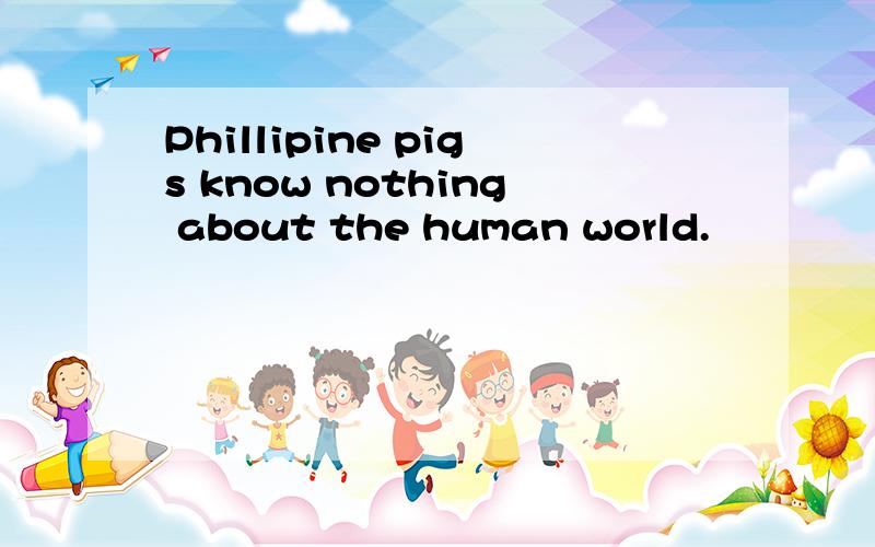 Phillipine pigs know nothing about the human world.