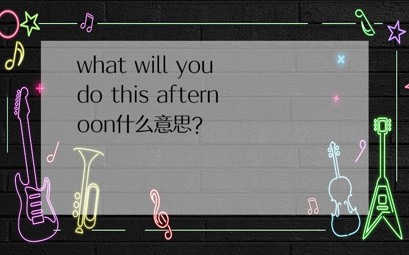 what will you do this afternoon什么意思?