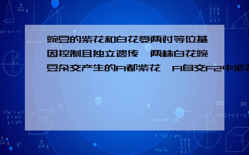 豌豆的紫花和白花受两对等位基因控制且独立遗传,两株白花豌豆杂交产生的F1都紫花,F1自交F2中紫花：白花=9:7.若将F1进行测交,后代中开紫花的比例是多少?