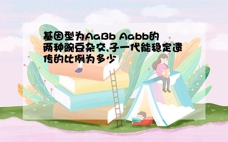 基因型为AaBb Aabb的两种豌豆杂交,子一代能稳定遗传的比例为多少