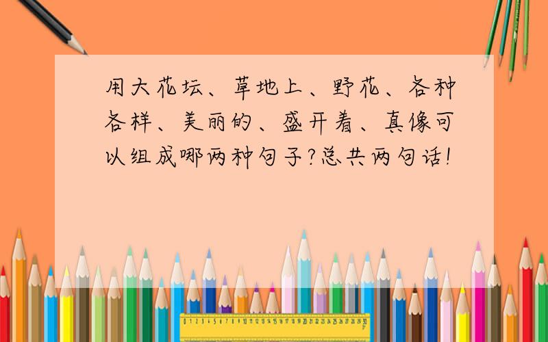 用大花坛、草地上、野花、各种各样、美丽的、盛开着、真像可以组成哪两种句子?总共两句话!