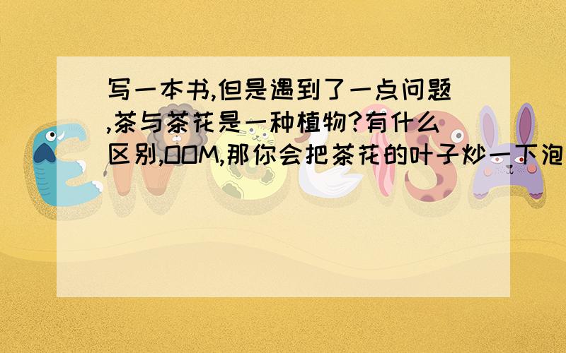 写一本书,但是遇到了一点问题,茶与茶花是一种植物?有什么区别,OOM,那你会把茶花的叶子炒一下泡茶喝吗?