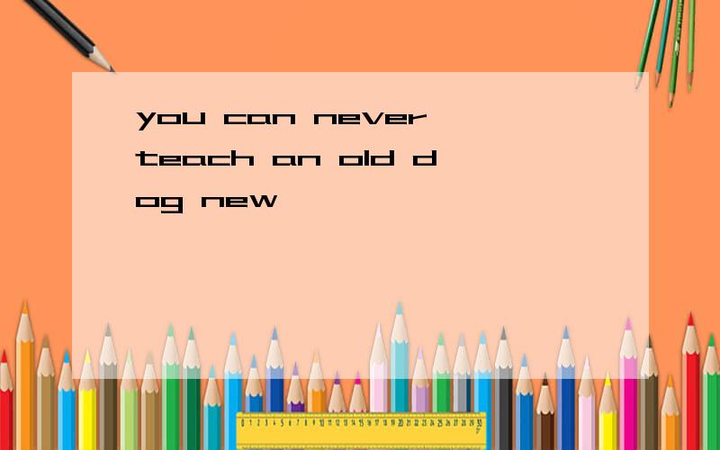 you can never teach an old dog new