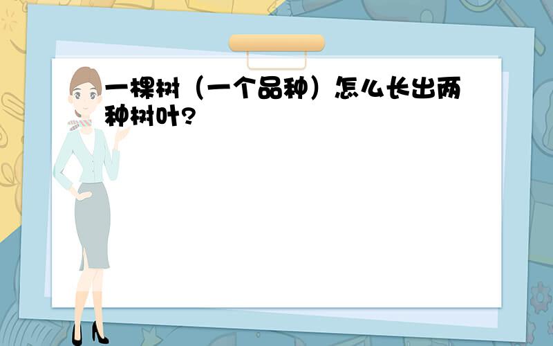 一棵树（一个品种）怎么长出两种树叶?