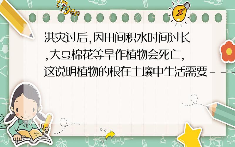 洪灾过后,因田间积水时间过长,大豆棉花等旱作植物会死亡,这说明植物的根在土壤中生活需要-----小明家门口有一块菜地,中有许多蔬菜,在夏天的午后,小明刚发现青菜的叶子会低垂皱缩,其原