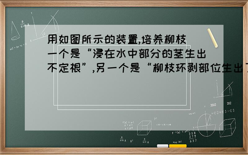 用如图所示的装置,培养柳枝（一个是“浸在水中部分的茎生出不定根”,另一个是“柳枝环剥部位生出了不定根”）.一周后,可以看到图中的现象你能对此作出解释吗?由此你可得到什么结论?