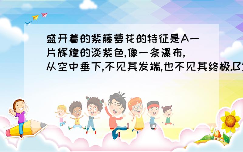 盛开着的紫藤萝花的特征是A一片辉煌的淡紫色,像一条瀑布,从空中垂下,不见其发端,也不见其终极.B紫色的大条幅上,泛着点点银光,就像迸溅的水花.C每一朵盛开的花就像是小小的张满了的帆,