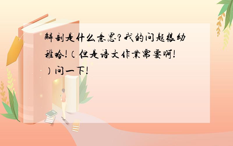 解剖是什么意思?我的问题很幼稚哈!（但是语文作业需要啊!）问一下!