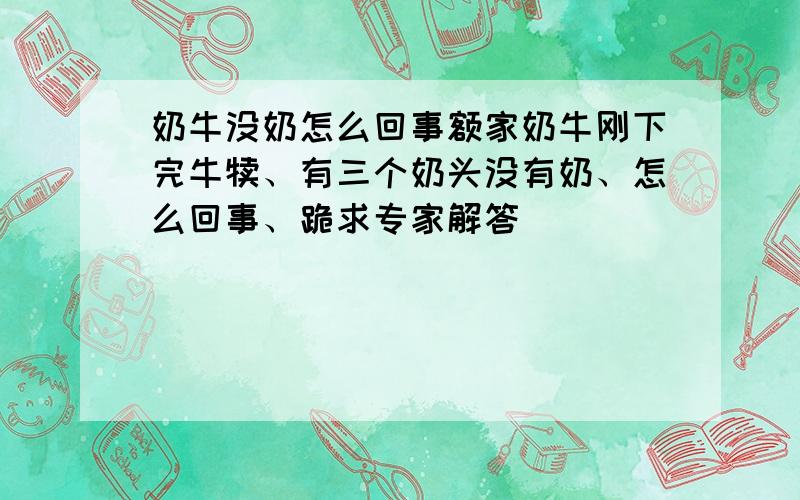 奶牛没奶怎么回事额家奶牛刚下完牛犊、有三个奶头没有奶、怎么回事、跪求专家解答