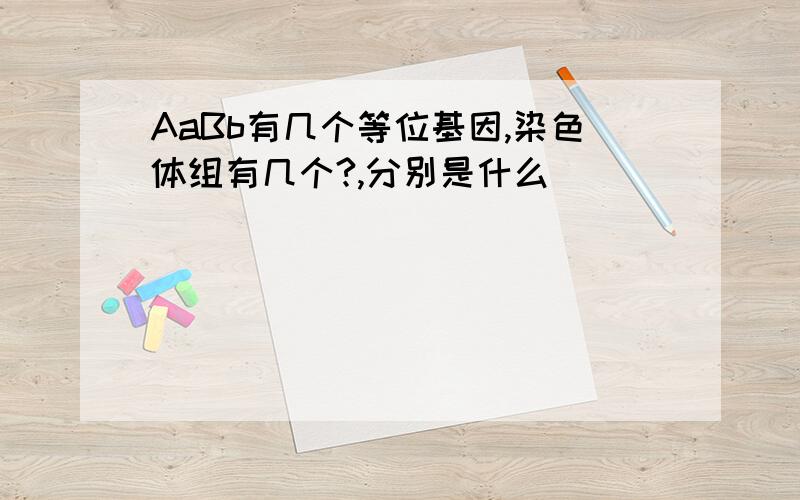 AaBb有几个等位基因,染色体组有几个?,分别是什么