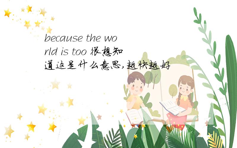 because the world is too 很想知道这是什么意思,越快越好