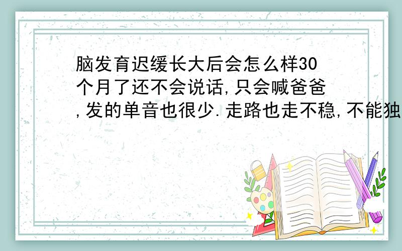 脑发育迟缓长大后会怎么样30个月了还不会说话,只会喊爸爸,发的单音也很少.走路也走不稳,不能独立行走,不扶东西站不住.医生一开始说是脑瘫,各项检查都做了,核磁做了说右脑T2高信号,没有