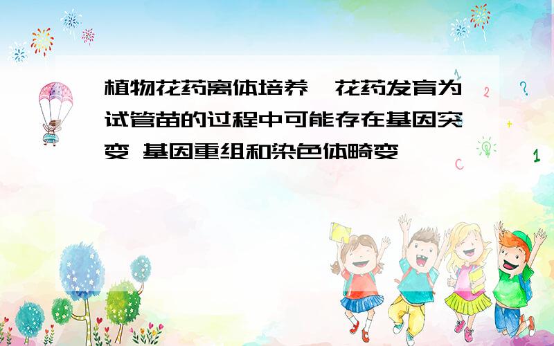 植物花药离体培养,花药发育为试管苗的过程中可能存在基因突变 基因重组和染色体畸变