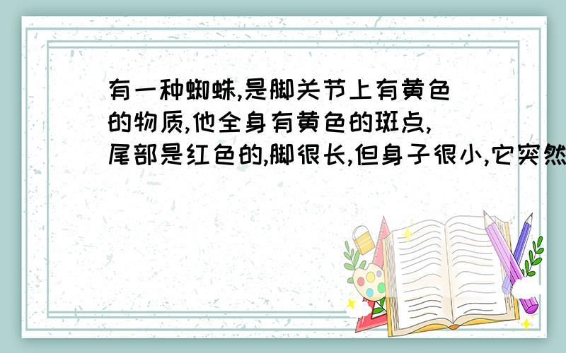 有一种蜘蛛,是脚关节上有黄色的物质,他全身有黄色的斑点,尾部是红色的,脚很长,但身子很小,它突然到我家阳台织网,好大个的…… 吓死了