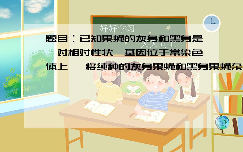 题目：已知果蝇的灰身和黑身是一对相对性状,基因位于常染色体上 ,将纯种的灰身果蝇和黑身果蝇杂交,F1全部为灰身,让F1自由交配产生F2,将F2中的灰身果蝇取出,让其自由交配 ,后代中灰身和