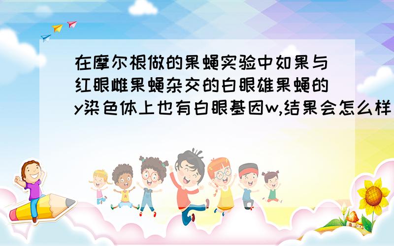 在摩尔根做的果蝇实验中如果与红眼雌果蝇杂交的白眼雄果蝇的y染色体上也有白眼基因w,结果会怎么样