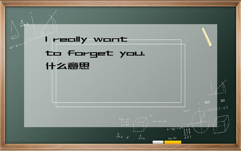 I really want to forget you.什么意思