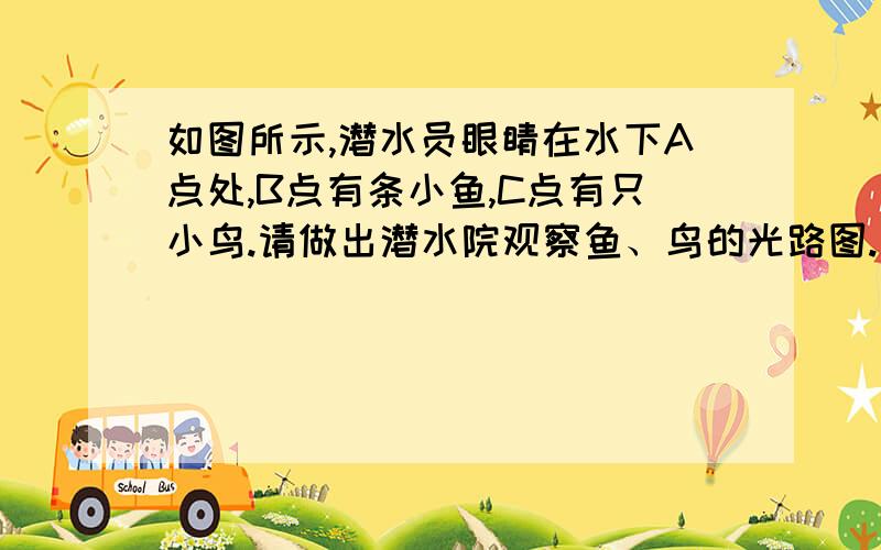 如图所示,潜水员眼睛在水下A点处,B点有条小鱼,C点有只小鸟.请做出潜水院观察鱼、鸟的光路图.