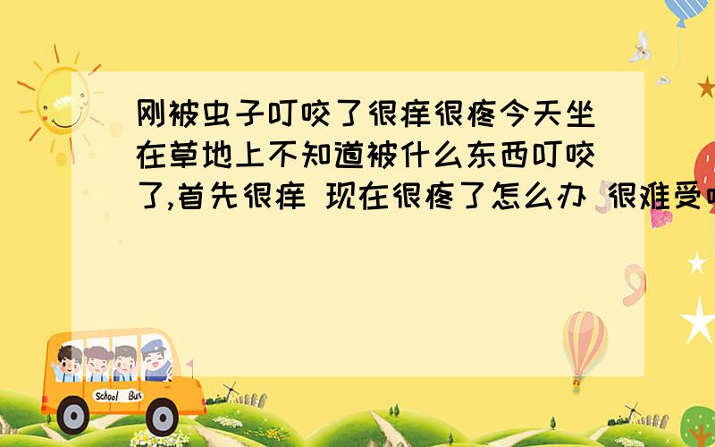 刚被虫子叮咬了很痒很疼今天坐在草地上不知道被什么东西叮咬了,首先很痒 现在很疼了怎么办 很难受哈~