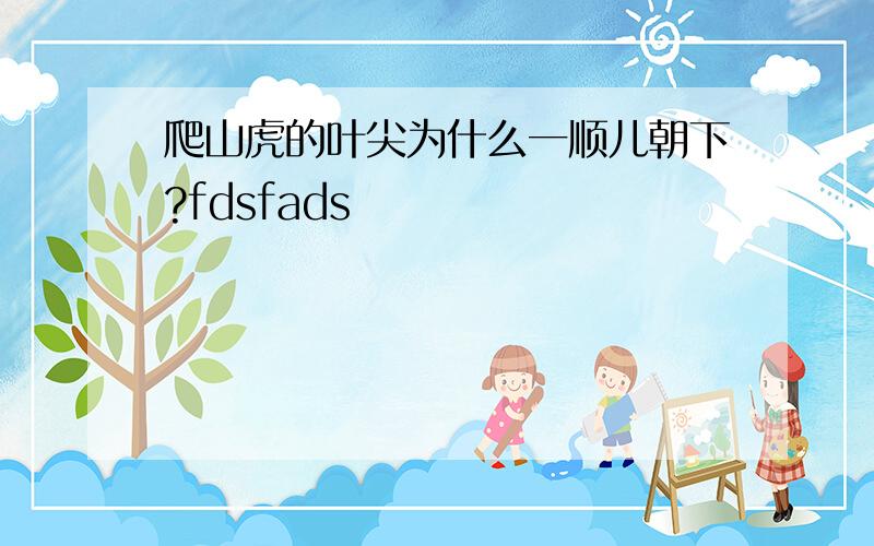 爬山虎的叶尖为什么一顺儿朝下?fdsfads