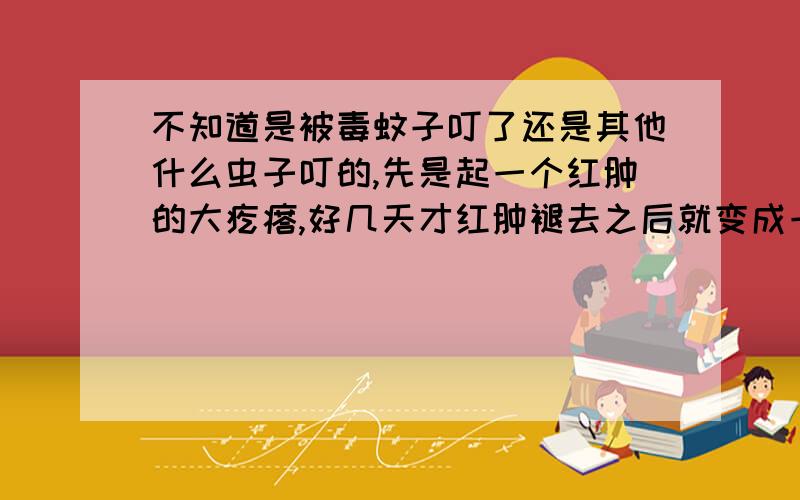 不知道是被毒蚊子叮了还是其他什么虫子叮的,先是起一个红肿的大疙瘩,好几天才红肿褪去之后就变成一个小红疙瘩,看着像个小泡泡,不动它不痒,有时候碰到会很痒,隔一段时间这个小红疙瘩