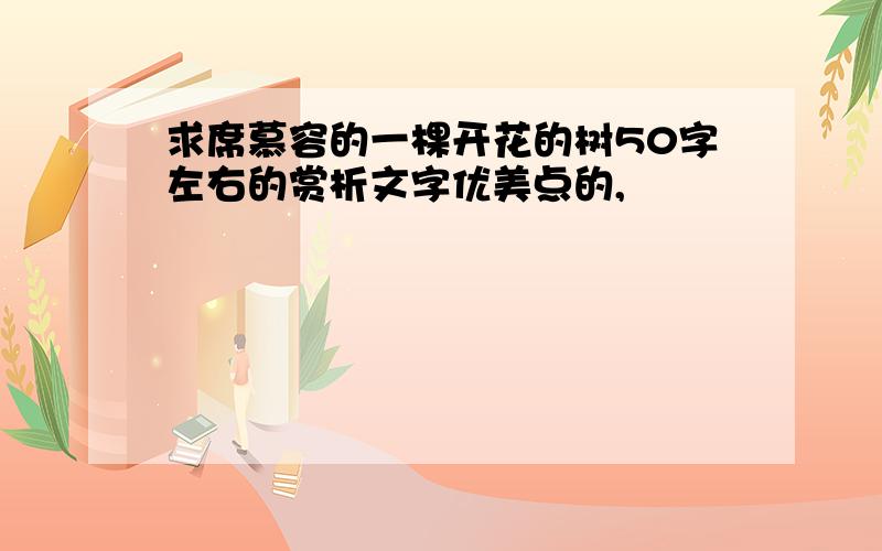 求席慕容的一棵开花的树50字左右的赏析文字优美点的,